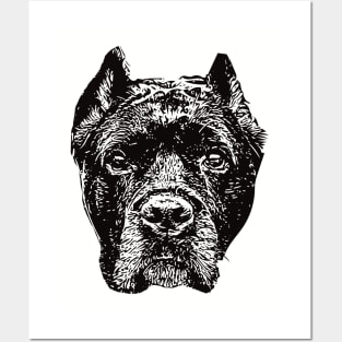 Cane Corso gift for Corso Owners Posters and Art